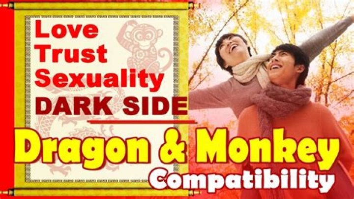 Are the Monkey and Dragon compatible?