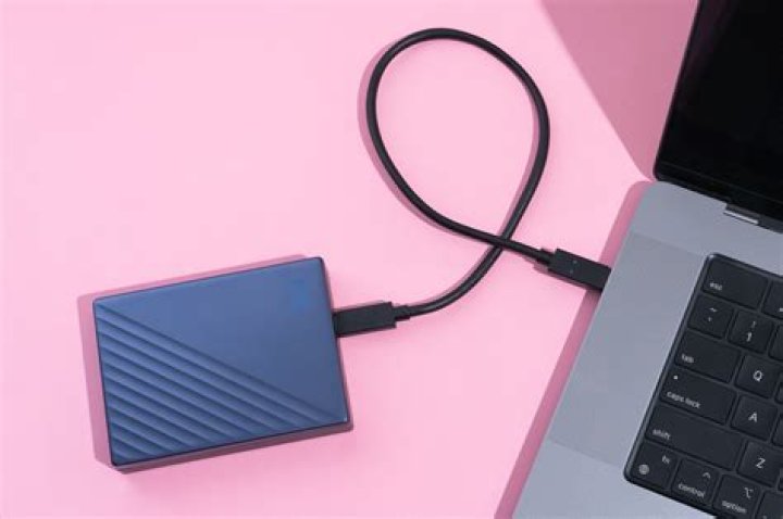 Can a virus live in an external hard drive?
