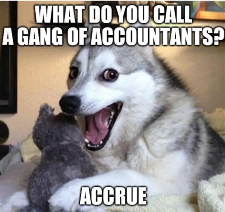 Can accounting be fun?