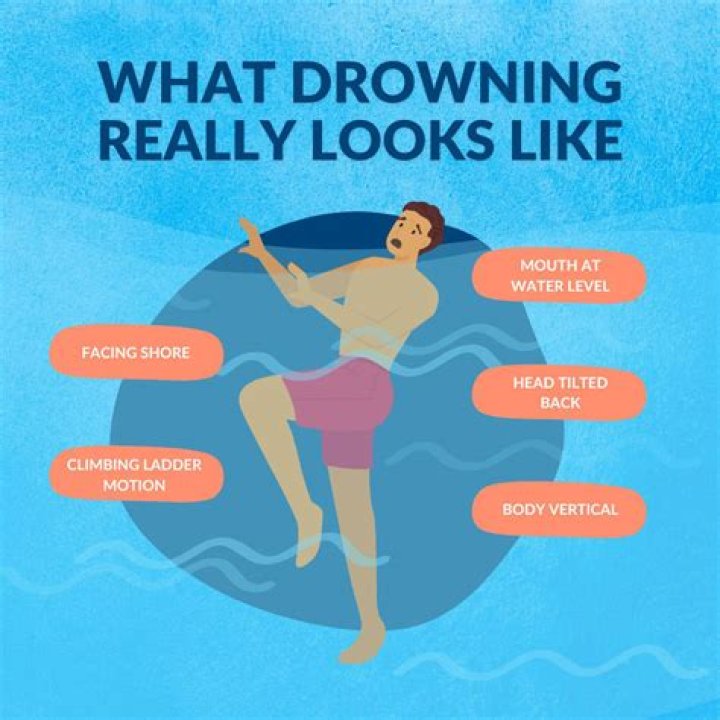 Can an ant drown?