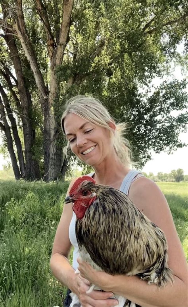 Can chickens recognize faces?