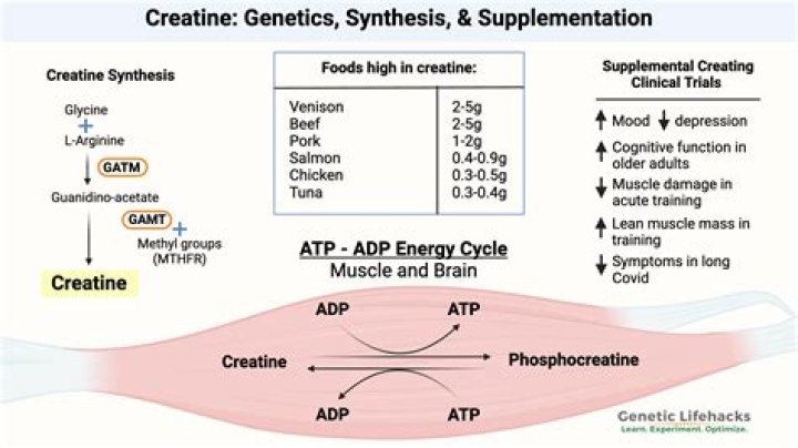 Can creatine affect your mood?
