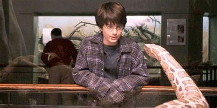 Can Ginny Weasley speak Parseltongue?