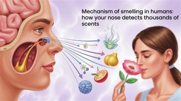 Can humans sense being watched?