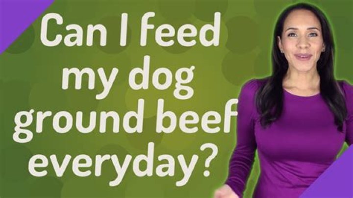 Can I feed ground beef to my dog?