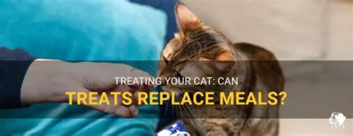 Can I feed my cat treats as a meal?