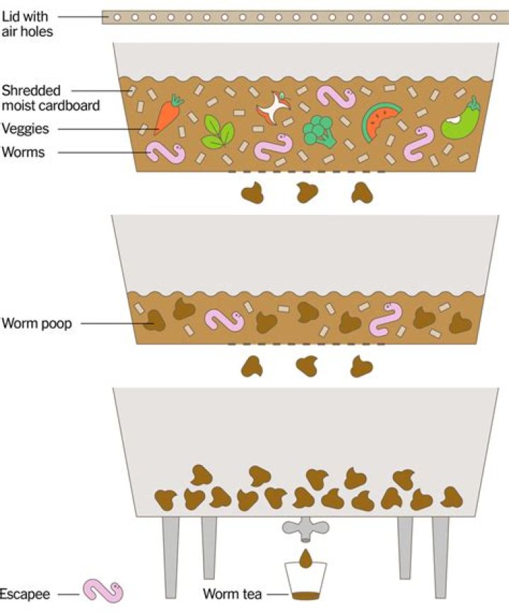 Can I use tap water in my worm farm?