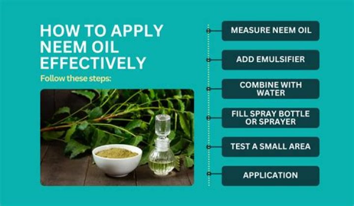 Can you apply neem oil to roots?