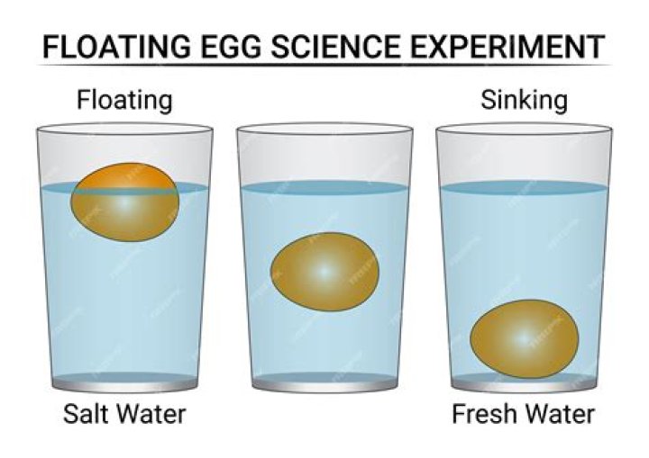 Can you eat a floating egg?