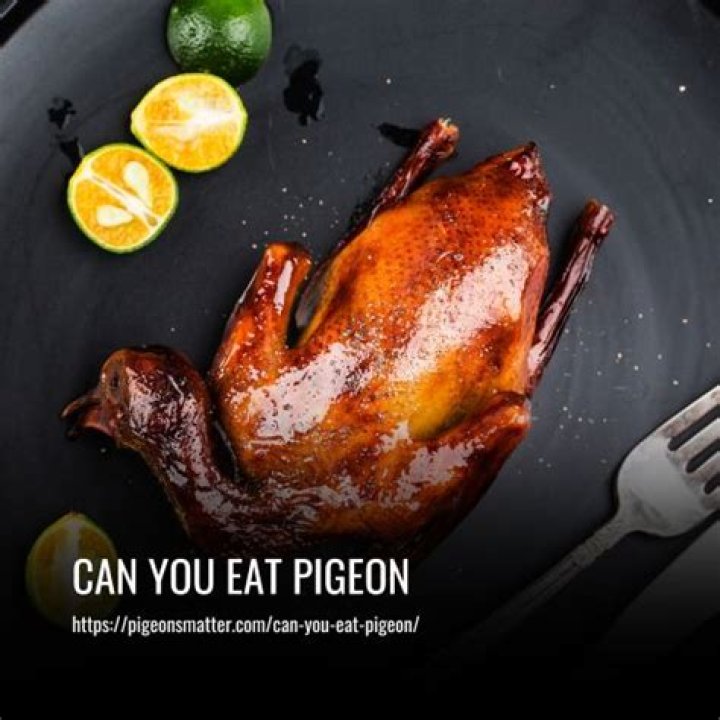 Can you eat a pigeon?