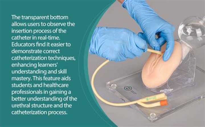 Can you get erect with a catheter?