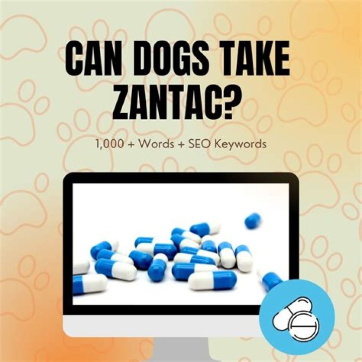 Can you give Zantac to dogs?