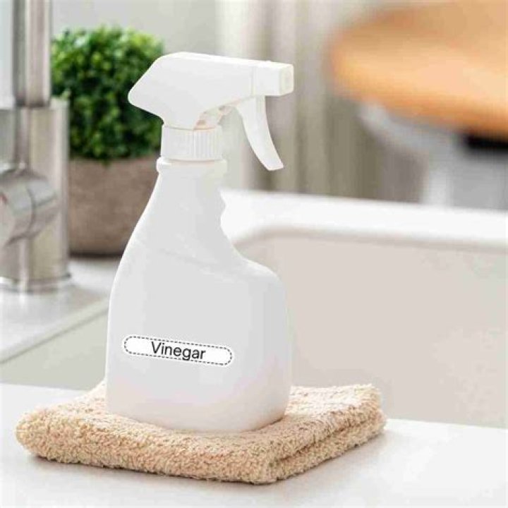 Can you spray vinegar on pillows?
