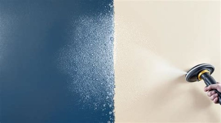 Can you steam painted walls?