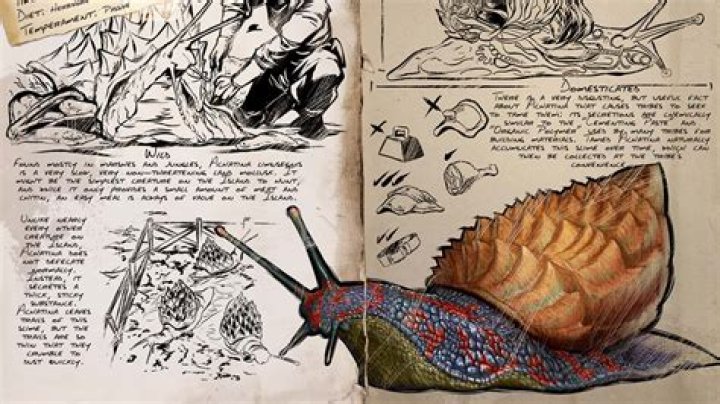 Can you tame a snail in Ark?