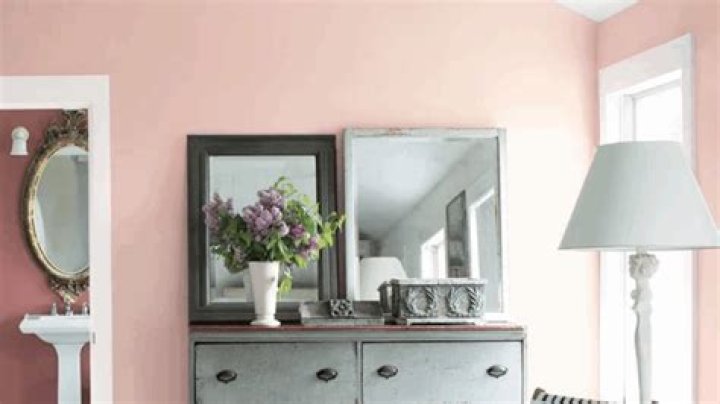 Can you use gumption on walls?