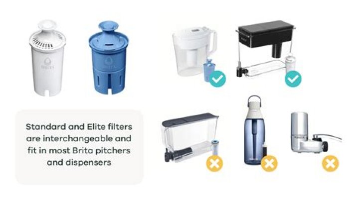 Do Brita filters remove E-coli?