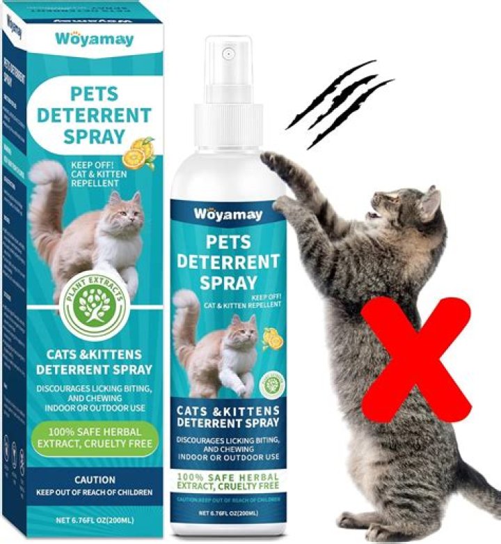 Do fake snakes keep cats away?
