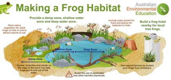 Do frogs come into your house?
