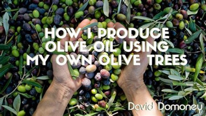 Do I need two olive trees to produce fruit?