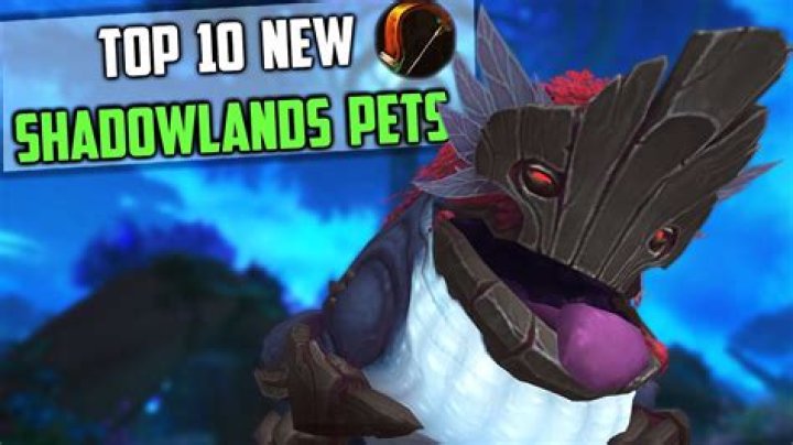 Do Marksman hunters use pets in Shadowlands?