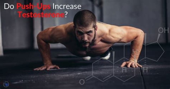 Do push ups increase testosterone?