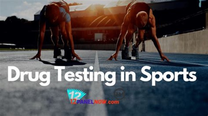 Do they drug test in basic training?