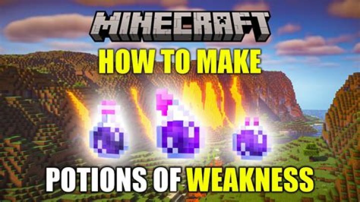Do weakness potions work on the wither?