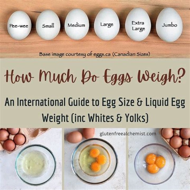 Do you gain weight egg freezing?