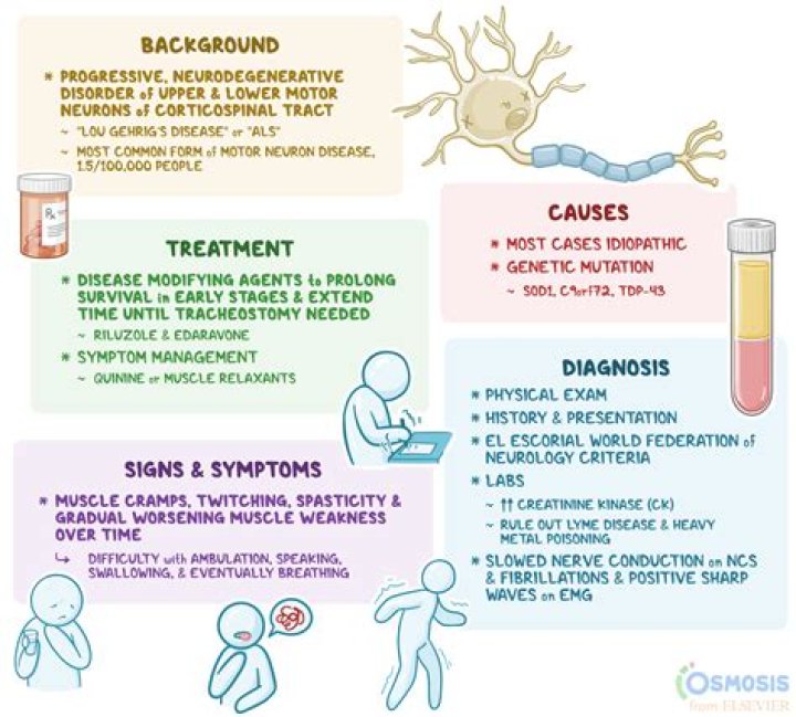 Does ALS affect appetite?