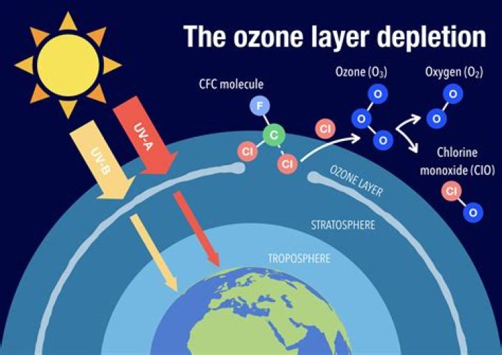 Does ozone destroy food?