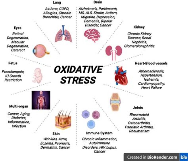 Does ozone therapy cause oxidative stress?