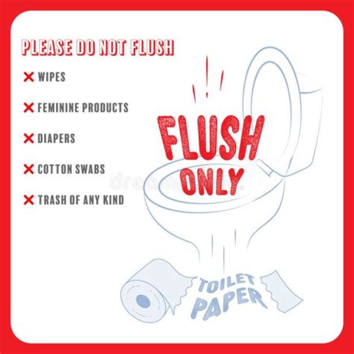 Does Puerto Rico flush toilet paper?