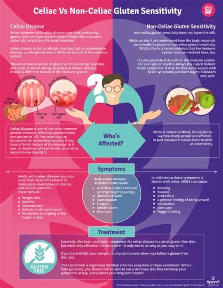 Does yeast eat gluten?