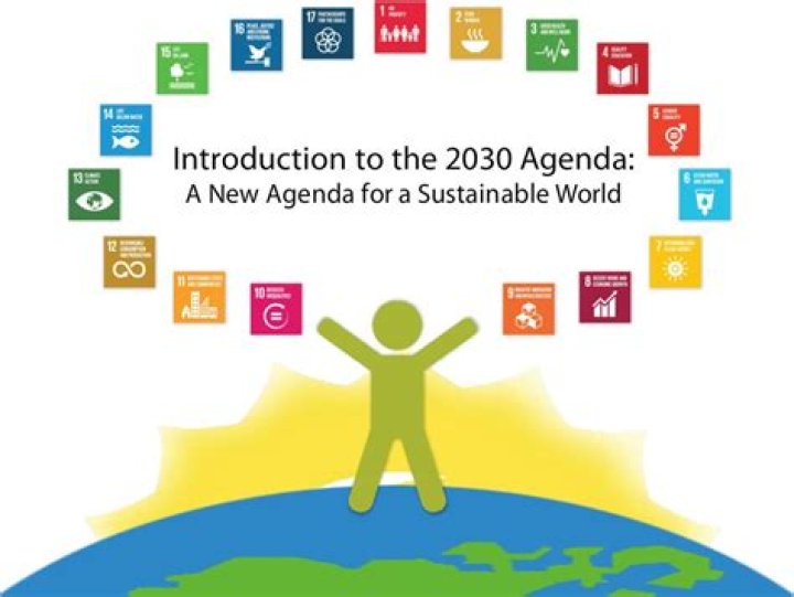 Has Agenda 21 been implemented?