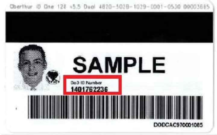 How are DoD ID numbers determined?