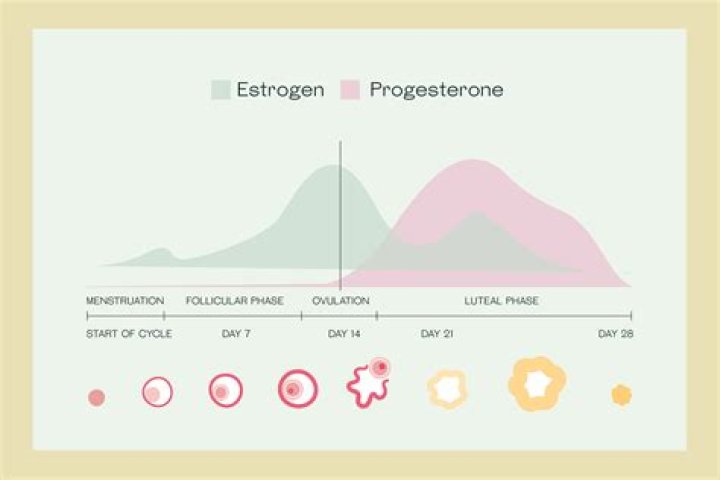 How can I get progesterone naturally?