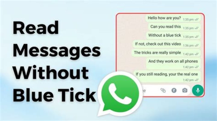 How can I read WhatsApp messages without blue ticks?