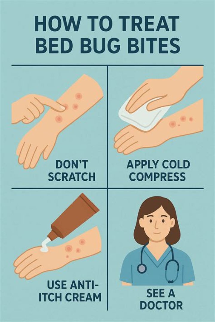How can you tell if your bites are from bed bugs?
