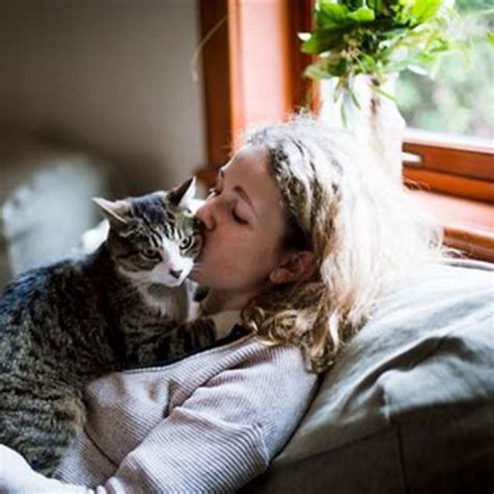 How can you tell when a cat is sad?