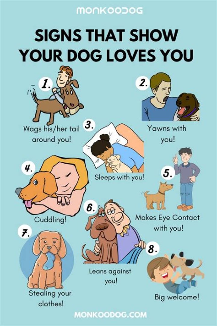 How do I let my dog know I love him?