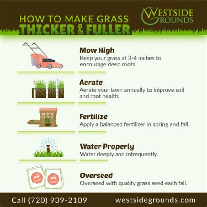 How do I make my grass thicker?
