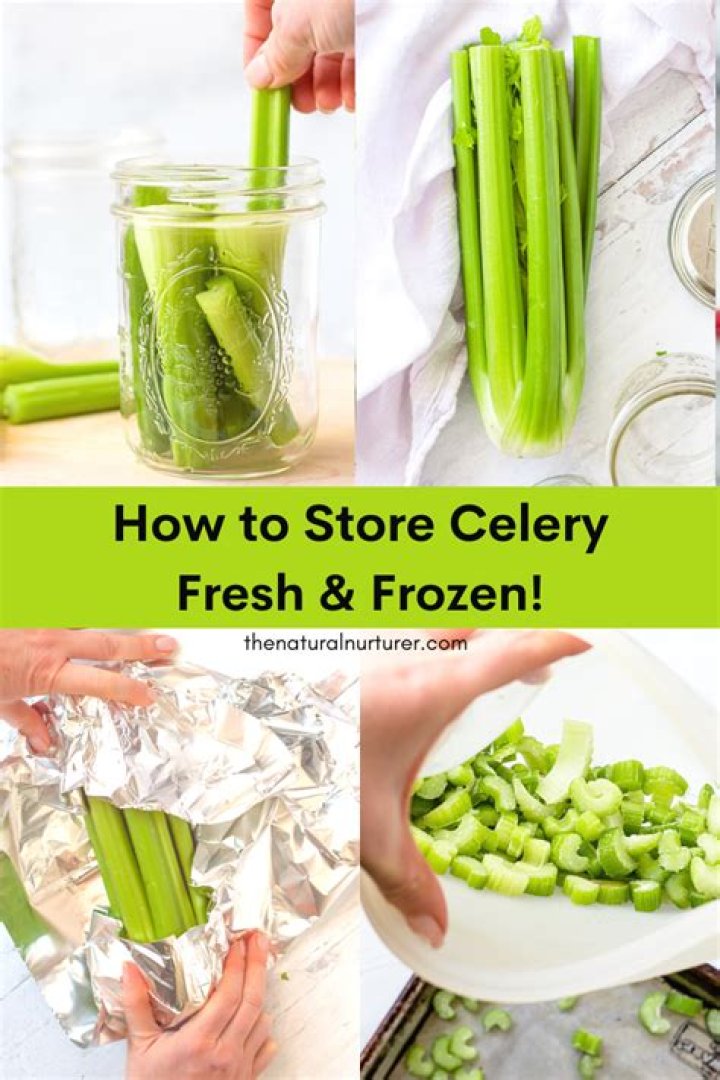 How do you best store cut celery in the fridge?