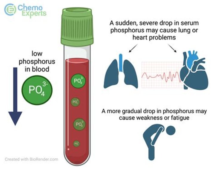 How do you fix low phosphorus?