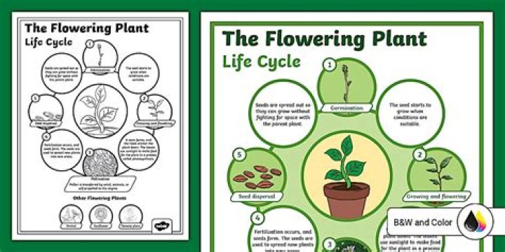 How do you increase flowering in plants?