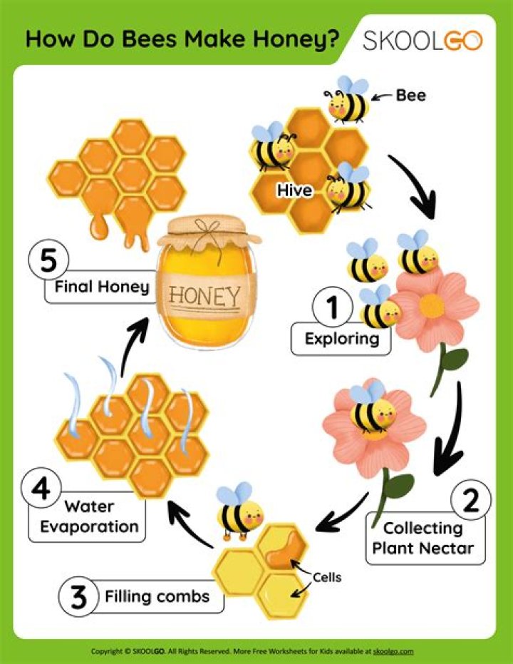 How do you keep bees from coming back?