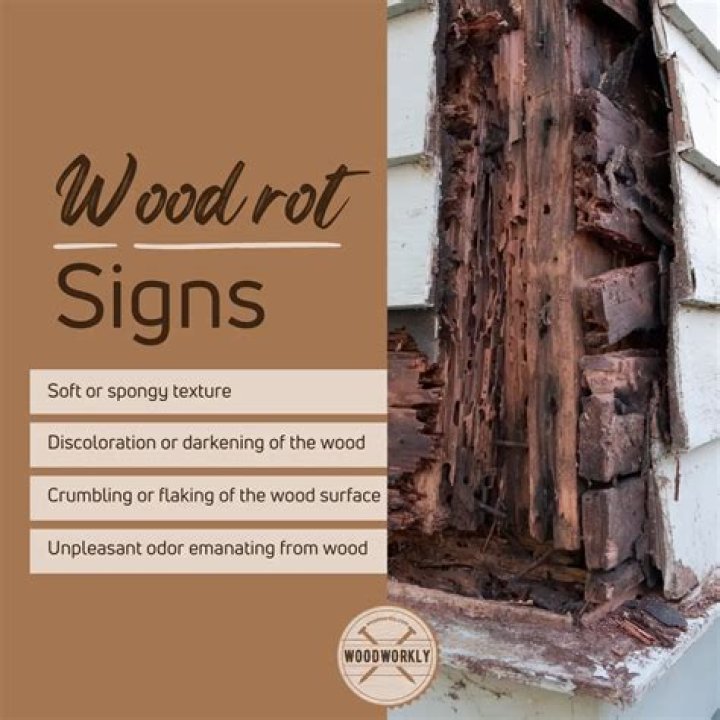 How do you know if wood is too rotten to burn?