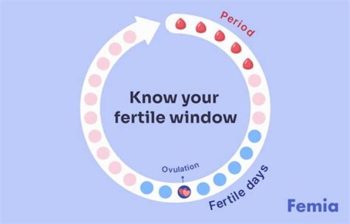 How do you know when your fertile if you have irregular periods?