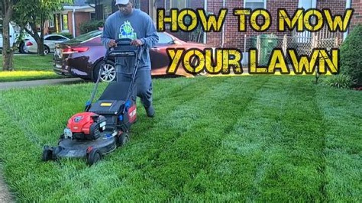 How do you redo a full weeds lawn?