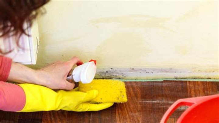 How do you remove paint from walls with vinegar?